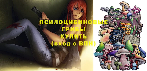 ALPHA-PVP Инта