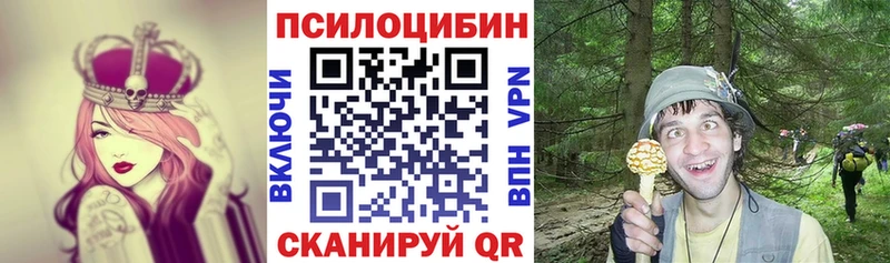 Купить где  Козловка  Галлюциногенные грибы Magic Shrooms 